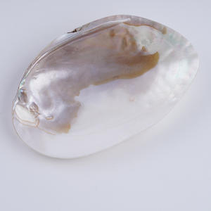 Perles de culture d'eau douce naturelles de 13-14 mm, forme de pièce de monnaie baroque, bouton, trou traversant, bricolage, collier, perles en vrac, vente en gros - Product Image 5