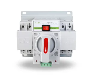 High Quality Changeover Switch SUQ2-63 2P Dual Power Automatic Transfer Switch 16A 20A 32A 40A 63A ATS
