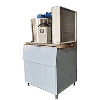 Máquina de Hielo en Escamas Haiyue de 500 kg/día, Refrigerada por Aire, para Procesamiento de Pescado, con Certificación CE