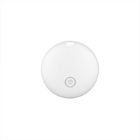 Mini traceur Bluetooth pour animaux de compagnie, pour collier ou sac à dos de chien et de chat, autonomie ultra-longue, navigation cartographique, accessoire de suivi anti-perte