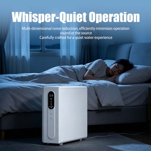 Nouveau purificateur d'eau par osmose inverse (RO) sans réservoir à haut débit 800G/1200G avec double sortie pour consommation directe - Product Image 3