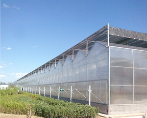 10-năm bảo hành nông nghiệp kinh tế Polycarbonate/PC tấm PC tấm tấm nhà kính với cà chua phát triển hệ thống lớn 3-6M - Product Image 3
