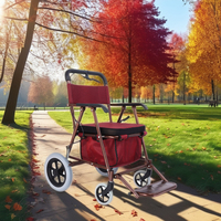 Vente en gros de caddie pliable de haute qualité pour senior avec marchette et dispositif de roulement avec des sièges confortables et un panier