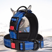 Accessoires Chien Produits Réglable Confortable Nylon Luxe Teckel Animal de compagnie Chat Chien Petit Collier pour chiens