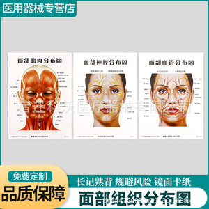 Diagrama de Distribución de Vasos Sanguíneos Faciales de Suqian Kewo 59, Póster de Referencia para Cirugía Estética - Product Image 4