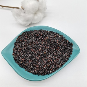 Graines <span class=keywords><strong>de</strong></span> Millet Noir Non Décortiquées (Nouvelle Récolte) pour Oiseaux – Vente en Gros - Product Image 5