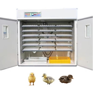 ตู้ฟักไข่ไก่แบบอัตโนมัติ เครื่องฟักไข่และเครื่องฟักตัวลูกไก่ - Product Image 5