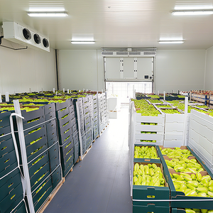 Hot-selling Solar-powered New Energy Cold Storage for Preservation for Farms Orchards Flower Markets - Product Image 4
