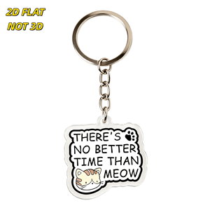 Portachiavi in acrilico con ciondolo a forma di gattino a righe e impronta di zampa, in plastica trasparente con anello in metallo - <span class=keywords><strong>Non</strong></span> c'è tempo migliore del 'Meow Cat Pun' - Product Image 1