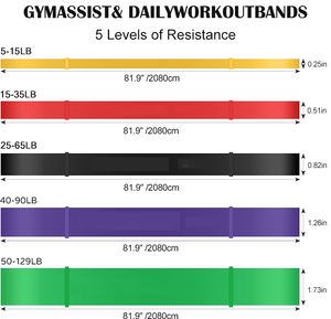 抵抗バンドセット男性用エクササイズバンドフィットネスジムホームワークアウトバンド筋力トレーニング理学療法形状ボディ - Product Image 2