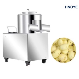 Machine à éplucher les pommes de terre haute capacité 200 <span class=keywords><strong>kg</strong></span>/h – Éplucheuse de légumes-racines à faible consommation d'effort pour usine de transformation - Product Image 1