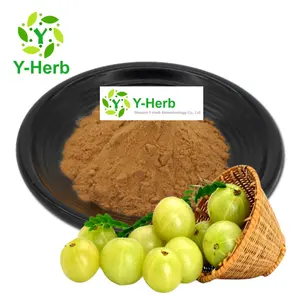 Amla Fruit/Berry Powder Food Grade Water Soluble Yu Gan Zi Extract 10:1 Amla Fruit/Berry Extract