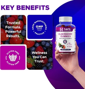ODM/OEM Private Label Adult Immunity-Improving Elderberry Herbal Supplement Gummy <b>Bites</b> Vitamin C Zinc 2 Gummies Per Serving - Product Image 4