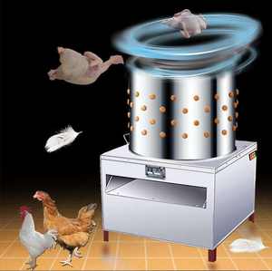 Desplumadora de Pollos de Alta Calidad / Máquina Desplumadora de Aves - Product Image 4