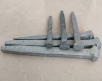 Hot Selling Hot Dipped Galvanized square Shank Nail/ Boat Nail with Low Price