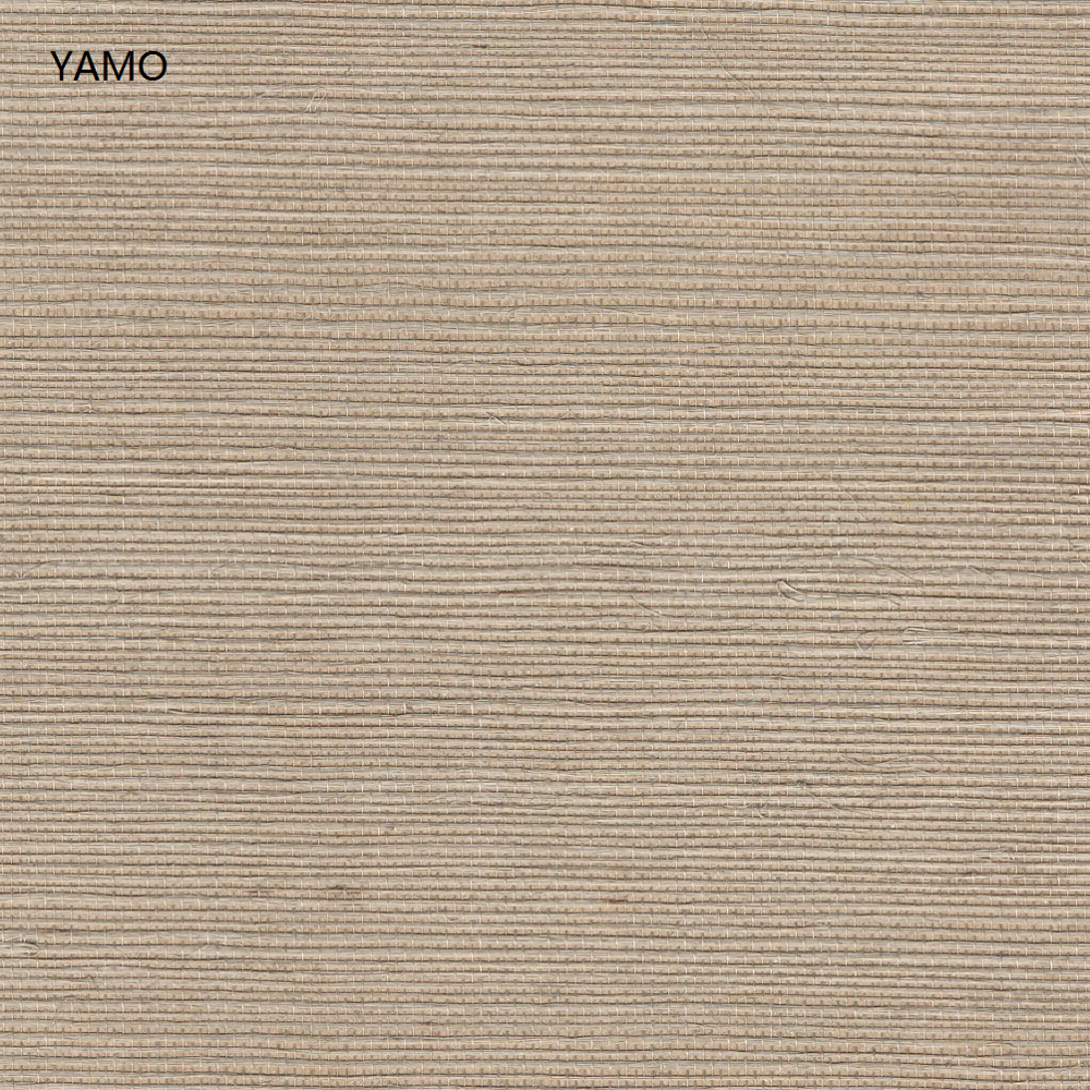 Y5-H04
