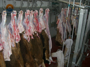 Machine d'abattage de bovins entièrement automatique avec pompe <span class=keywords><strong>à</strong></span> moteur, équipement d'abattage de conception libre pour ligne de transformation de la viande de bœuf - Product Image 3