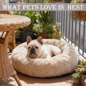 Canapé-lit pour animaux de compagnie en peluche moelleuse à motif uni pour chiens et chats, en fausse fourrure de coton, amovible, lavable, luxueux, chaud et confortable, pour petits animaux - Product Image 2