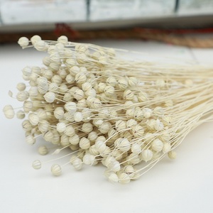 Flores decorativas de fábrica, suministro de floristería, 50g/manojo de frijol de Acacia, semillas de lino secas preservadas, ramo de frutas Jequirity, manojo de Linum - Product Image 1