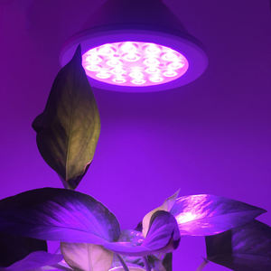 Bombillas <span class=keywords><strong>LED</strong></span> de espectro completo para <span class=keywords><strong>cultivo</strong></span> PAR30 Perfect <span class=keywords><strong>Led</strong></span> Grow Light Para <span class=keywords><strong>Cultivo</strong></span> de Interior para agricultura de interior sostenible - Product Image 2