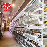 Système de cage d'élevage intensif de type H pour poussins, avec alimentation et abreuvement automatiques, pour fermes avicoles de moyenne et grande taille