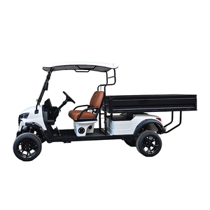 Chariot de <span class=keywords><strong>golf</strong></span> électrique, chariot de transport, camion utilitaire pour aéroport, hôtel, parc logistique - Product Image 3