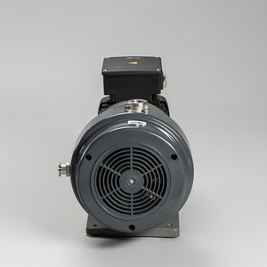 GWSPS300 50Hz,8.8 Cfm,low Noise vortex Pump,GEOWELL 20 Years Manufacturing Oil Free Vacuum Pump Manufacturer - Product Image 2