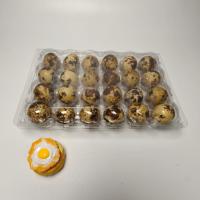 Boîte à œufs de caille en plastique transparent, 18 alvéoles, recyclable, en PET, emballage en vrac, jetable, petit conteneur pour œufs d'oiseaux