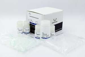 Kit batterico dell'estrazione del DNA, alta qualità per uso della ricerca - Product Image 2