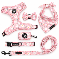 Ensemble collier et laisse pour chien avec logo personnalisé, accessoires pour animaux de compagnie ajustables et personnalisés pour chiens