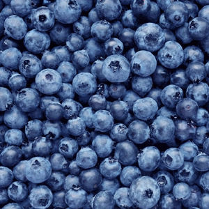 Yabanmersini tozu özü katı içecek biyofarmasötik yabanmersini lezzet özü - Product Image 2