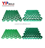 Moule d'injection plastique personnalisé de haute qualité pour la fabrication de grands grilles de pavage de toiture pour la plantation d'herbe