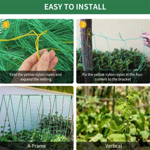 ตาข่ายพลาสติกสำหรับปลูกพืชตาข่ายสำหรับปีนต้นไม้ตาข่ายสำหรับปลูกต้นไม้เถาวัลย์ดอกไม้สำหรับปลูกต้นไม้เครื่องมือทำสวน - Product Image 3