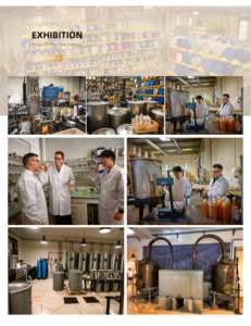 Huile de parfum naturelle de haute qualité longue durée respectueuse de l'environnement pour le parfum de maison à saveur de tabac - Product Image 2