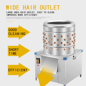 Offre Spéciale : Plumeuse Automatique en Acier pour Volailles – Machine Agricole pour le Nettoyage et la Plumeuse des Poulets, Idéale pour les Lignes d'Abattage en Abattoir - Product Image 3