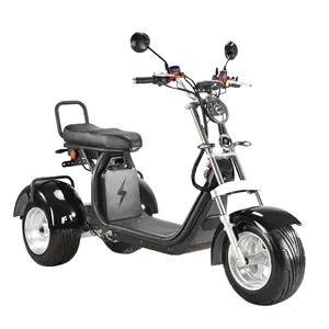 electric scooter 4000w 60v 40ah 3 wheels fat tire Chinese hot sale three with removable lithium battery citycoco EU warehouse