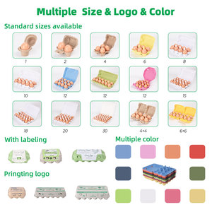 Biologisch Abbaubare Bedruckte Rosa Großhandels-Eierkartons mit <span class=keywords><strong>12</strong></span> Löchern für Hühnereier, Leere Verpackung zum Verkauf - Product Image 6