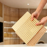 Panneau d'art en résine PETG tissé en bambou naturel, stratifié transparent, pour la décoration intérieure d'hôtels et de villas
