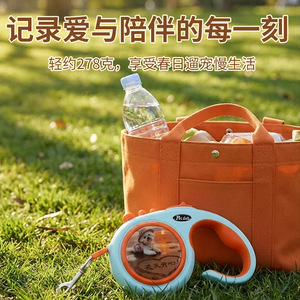 Automatic Retractable Pet <b>Leash</b> For <b>Dogs</b> Cats Rabbits Simple Design With Patent JH 8006 - Product Image 5