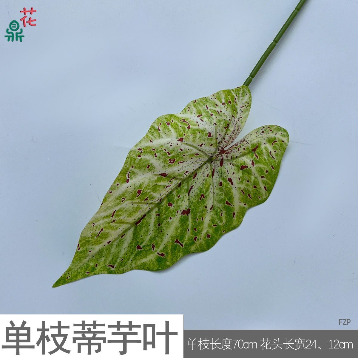 Feuilles de taro à tige unique FZP taches rouges vert tendre