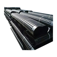 Planche de drainage en HDPE 8mm 10mm 12mm 16mm 20mm, plaque de drainage alvéolée pour toit, jardin, sous-sol