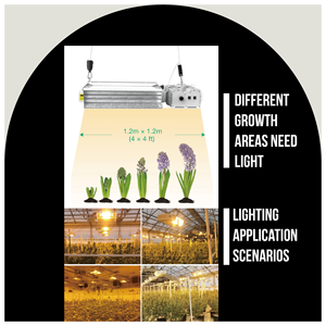 <span class=keywords><strong>Dual</strong></span> <span class=keywords><strong>1000W</strong></span> CMH Digital Hydro ponics Vor schalt gerät 630W CMH Grow Leuchte mit IP65 Aluminium Lampen gehäuse für Bloom-Anwendungen - Product Image 5