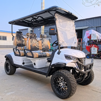 Voitures de golf, voitures de golf de luxe et voitures de golf Kawasaki pour les déplacements en communauté
