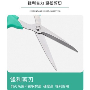 Nice Stainless Steel Pruning Shears Green Bypass 10-20 Mm For Fruit Vegetable Gardening Home Use - Product Image 3