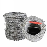 Fil de fer barbelé en gros, bobine argentée, galvanisé à chaud, acier à faible teneur en carbone, 50 kg, protection de la construction, durée de vie plus longue, palette