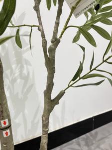 Faux bonsaï de style scandinave, verdure <span class=keywords><strong>d</strong></span>écorative, salon, simulation <span class=keywords><strong>d</strong></span>'<span class=keywords><strong>olivier</strong></span>, plante artificielle, jardin, <span class=keywords><strong>d</strong></span>écoration de terrasse, <span class=keywords><strong>d</strong></span>écoration intérieure, plante - Product Image 6