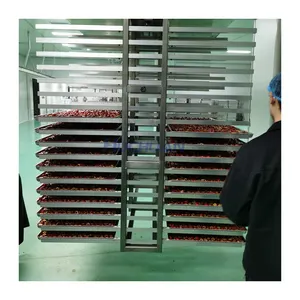 Máquina de liofilización industrial China Lab industrial pequeño liofilizador precio Máquina secadora de carne
