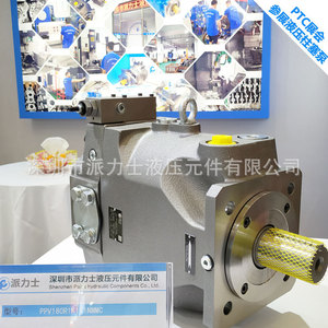 Pompe à piston horizontale monophasée PaiLis Pv20 2r1d C02, pompe de surpression en fonte à entraînement électrique - Product Image 3