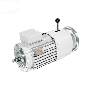 มอเตอร์ไร้แปรงถ่าน MAGMOTOR 220V ขนาดใหญ่ ได้รับการรับรองมาตรฐาน UL มอเตอร์ไฟฟ้ากระแสตรง - Product Image 2
