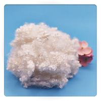 China Supplie Virgin High Quality Hot Sale Stable Fiber for Textile Industry Regenerated Hollow Conjugated 10 Holes Fiber